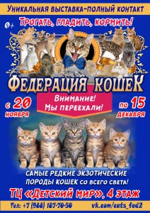 Контактная выставка "Федерация кошек" (выставка)