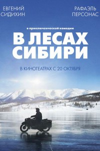 в лесах сибири